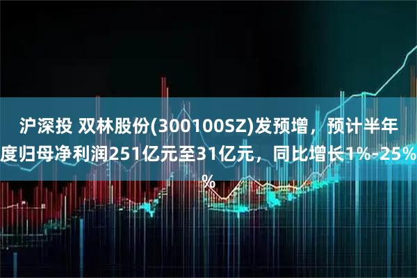 沪深投 双林股份(300100SZ)发预增，预计半年度归母净利润251亿元至31亿元，同比增长1%-25%